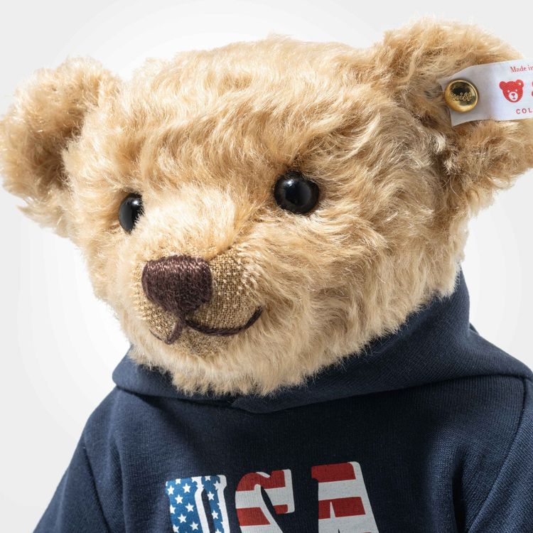 The Great American Teddy Bear with USA Hoodie