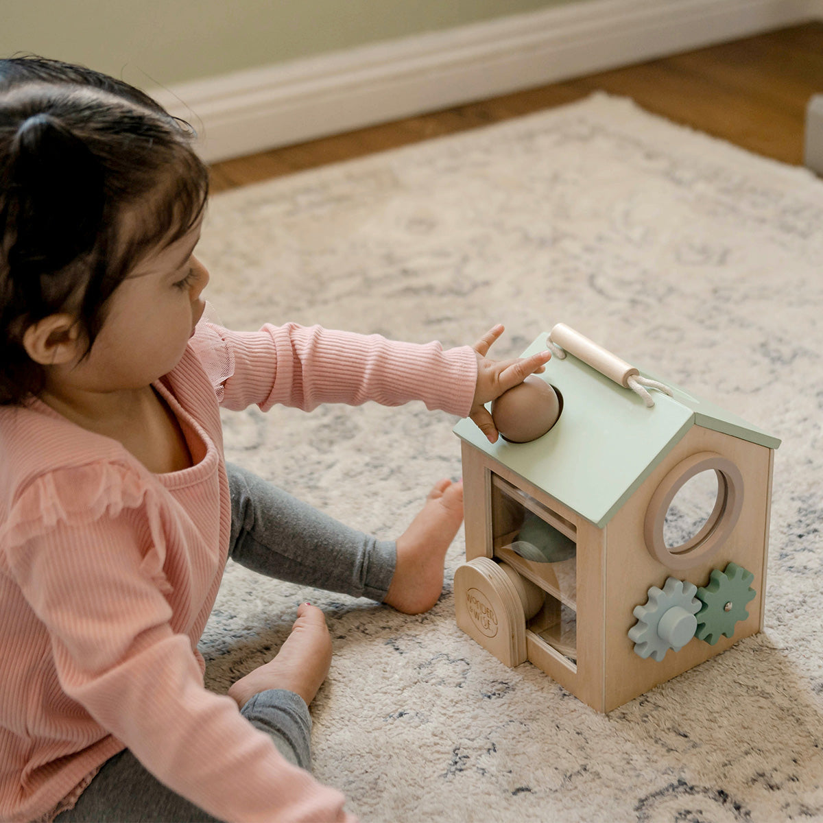 Tiny Activity House