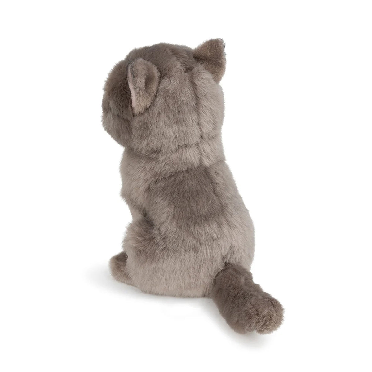 BT CHAPS Freddy the British Shorthair Cat ECO Plush in Giftbox - 7"