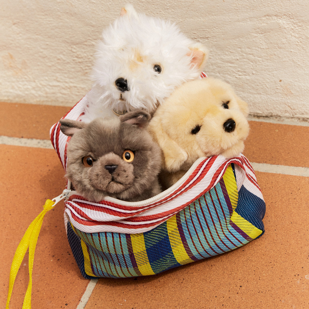 BT CHAPS Freddy the British Shorthair Cat ECO Plush in Giftbox - 7"