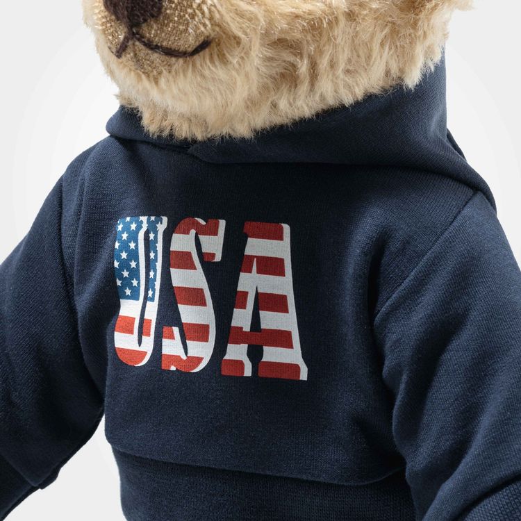 The Great American Teddy Bear with USA Hoodie