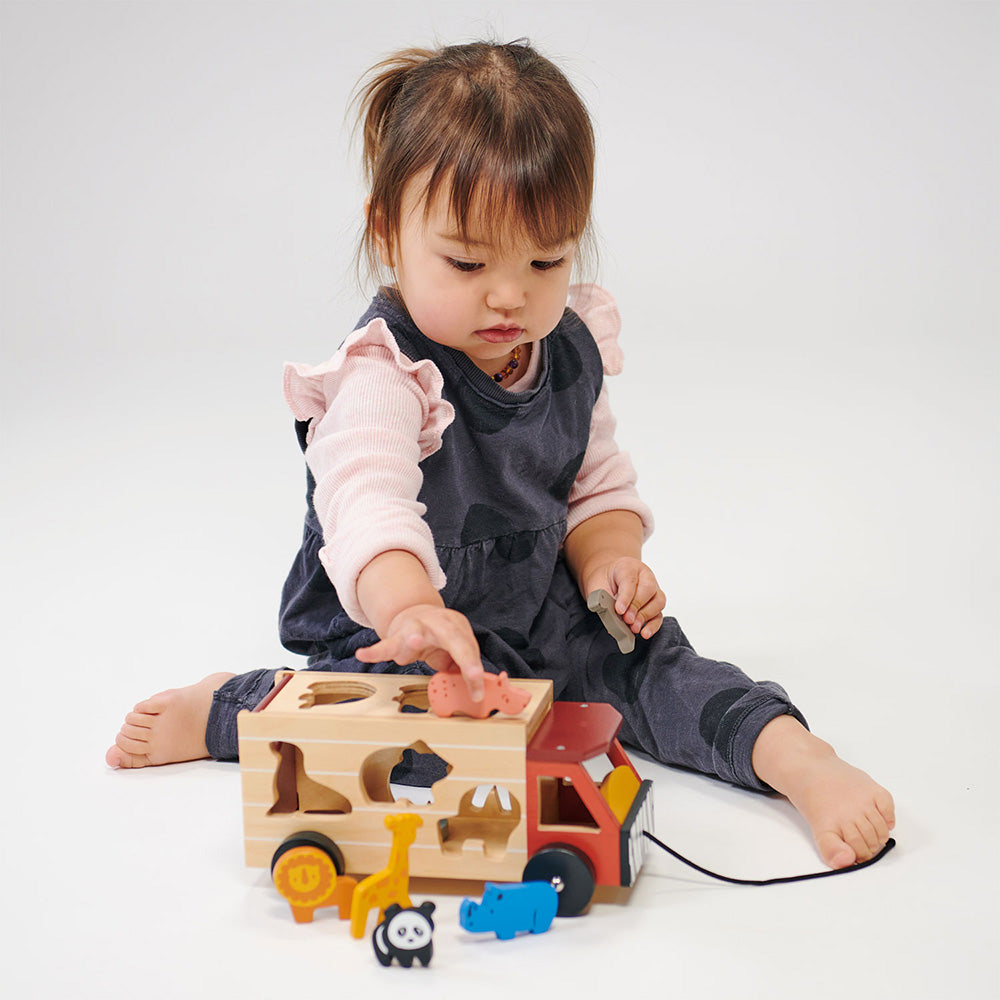 Mentari - Explorer's Sorting and Stacking Bundle - Infants