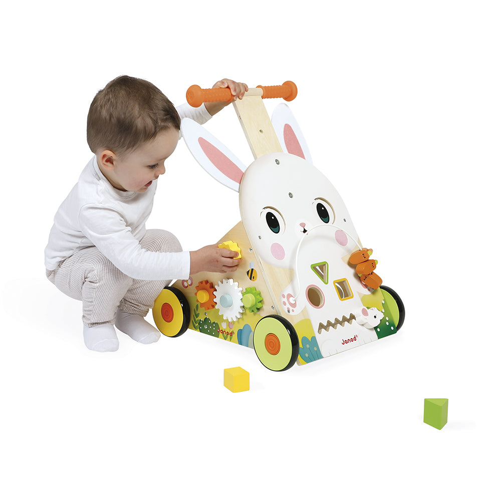 Janod - Farm Multi-Activity Baby Walker - Infants