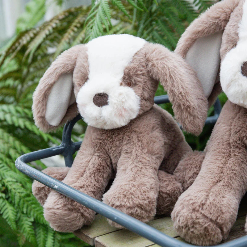 Bunnies By The Bay - Little Floppy Mutt Toffee Plush - 8" - Plush