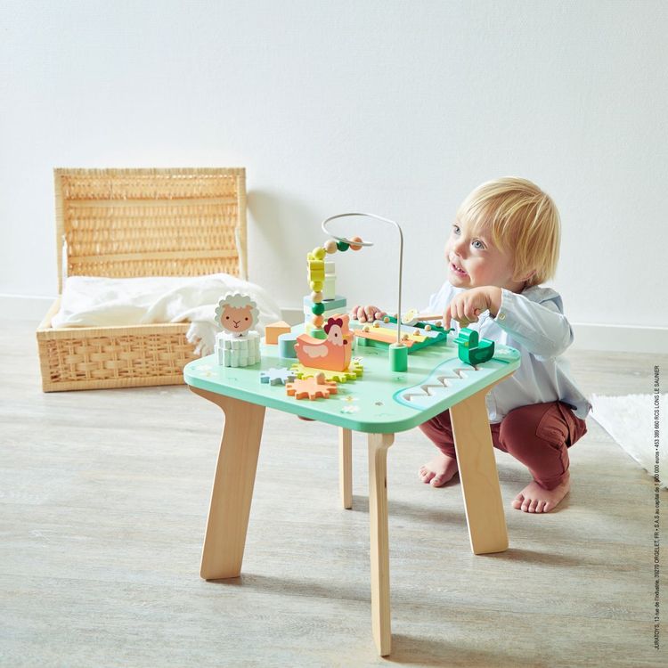 Janod - Meadow Activity Table - Infants