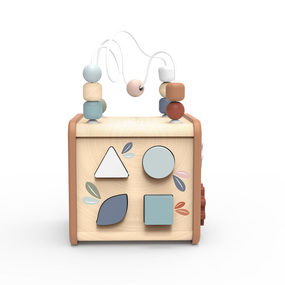 5-in-1 Activity Cube