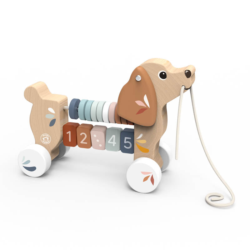 Puppy Pull Along Toy