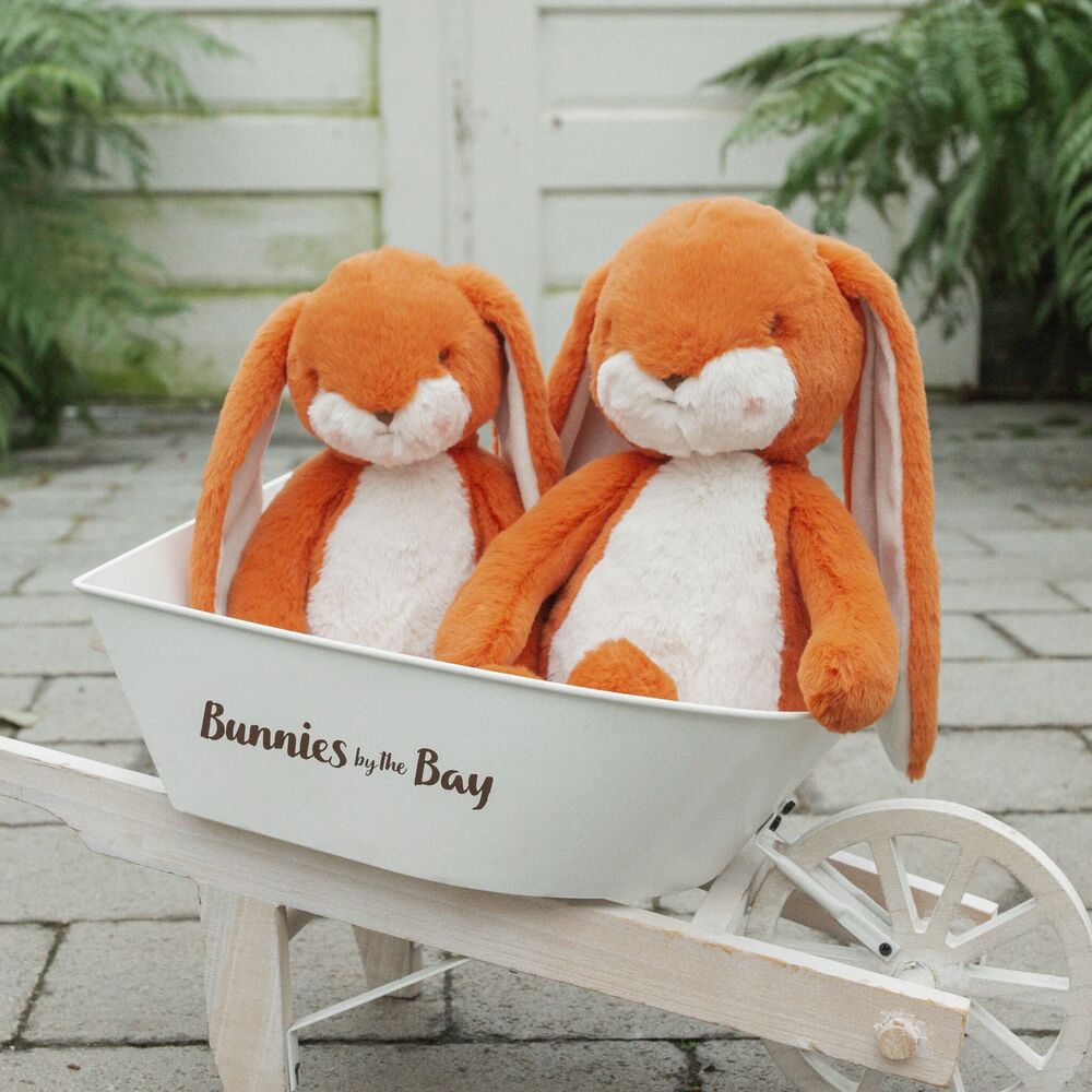 Bunnies By The Bay - Sweet 16" Floppy Nibble Bunny – Carrot - Plush