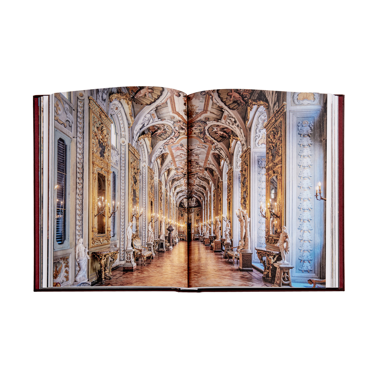 Graphic Image - Trope Rome Book Leather Edition - Books