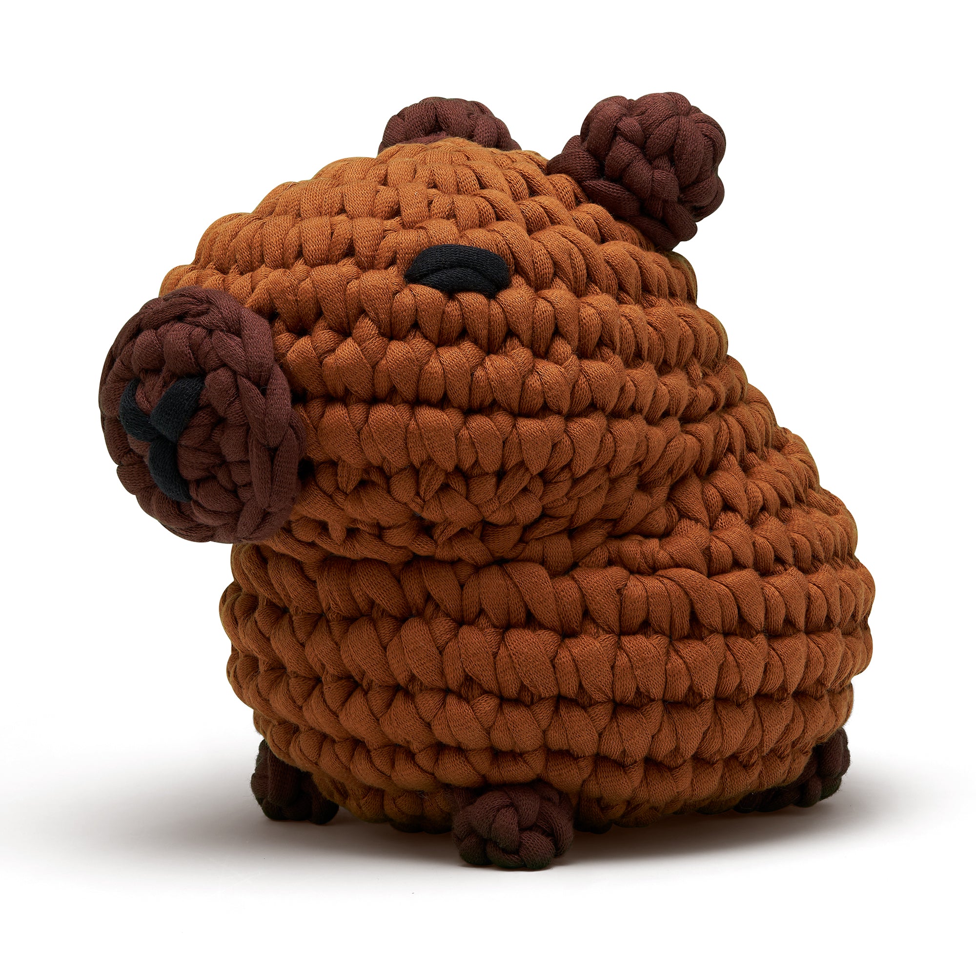 Hugh the Capybara Learn to Crochet Kit