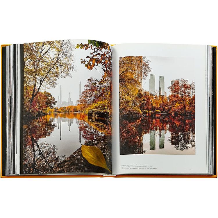 Graphic Image Books Trope New York Book Leather Edition