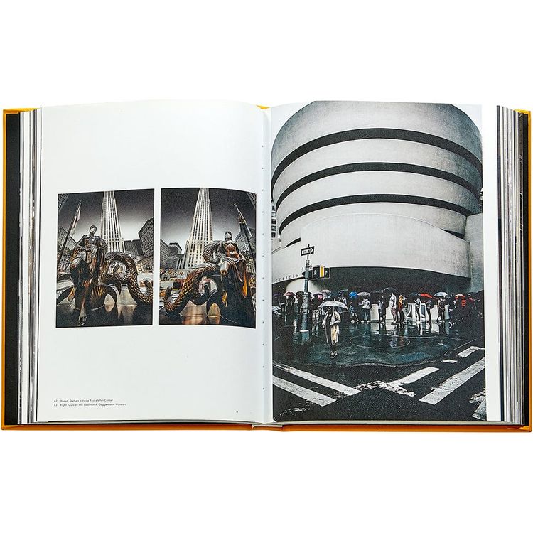 Graphic Image Books Trope New York Book Leather Edition