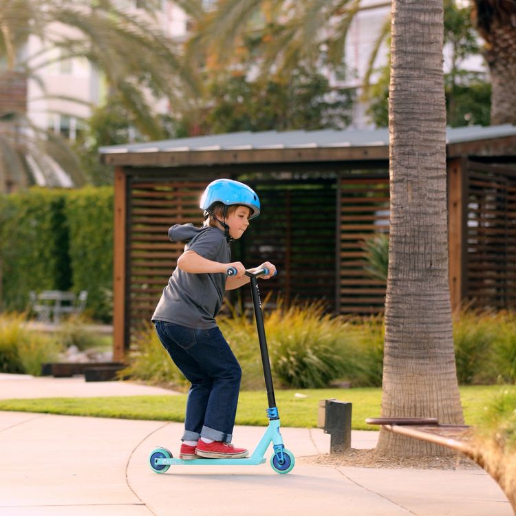 Micro Kickboard Outdoor Chilli Critter Scooter - Hercules Beetle - Blue