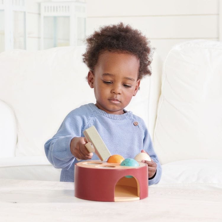 Tender Leaf Toys Preschool Wooden Woodpecker Game