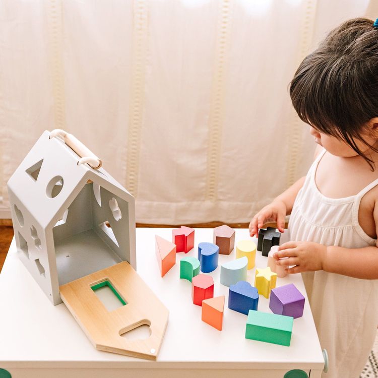 Wonder & Wise Preschool Wooden Shape Sorter