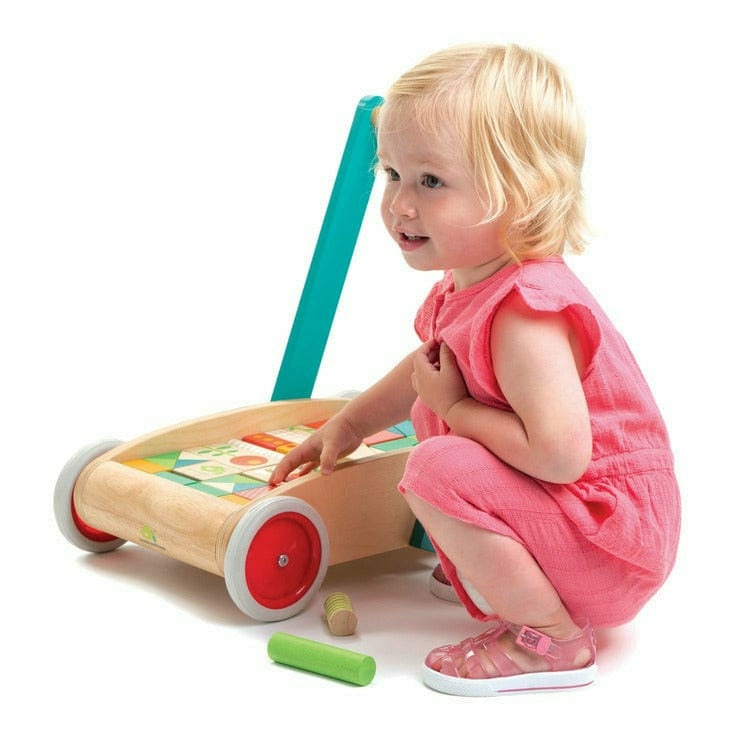 Tender Leaf Preschool Baby Block Walker