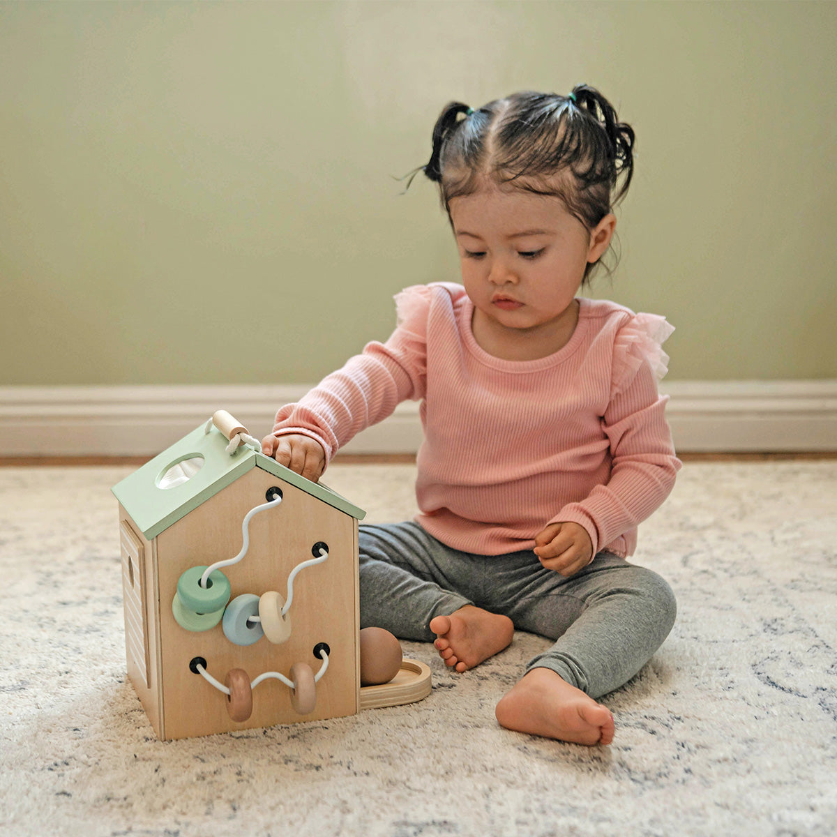 Tiny Activity House