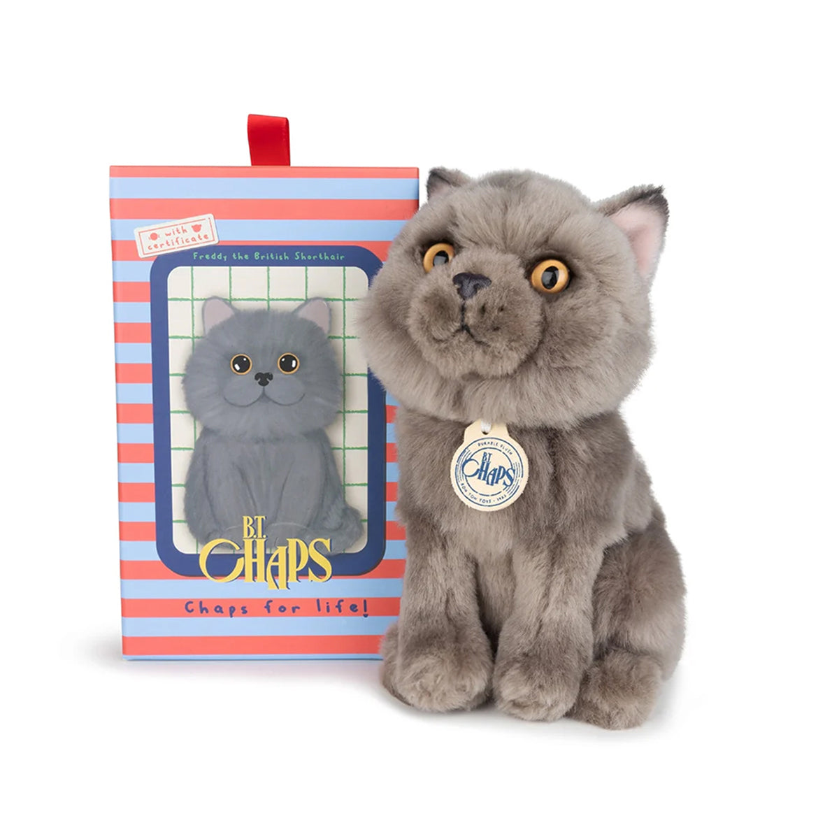BT CHAPS Freddy the British Shorthair Cat ECO Plush in Giftbox - 7"