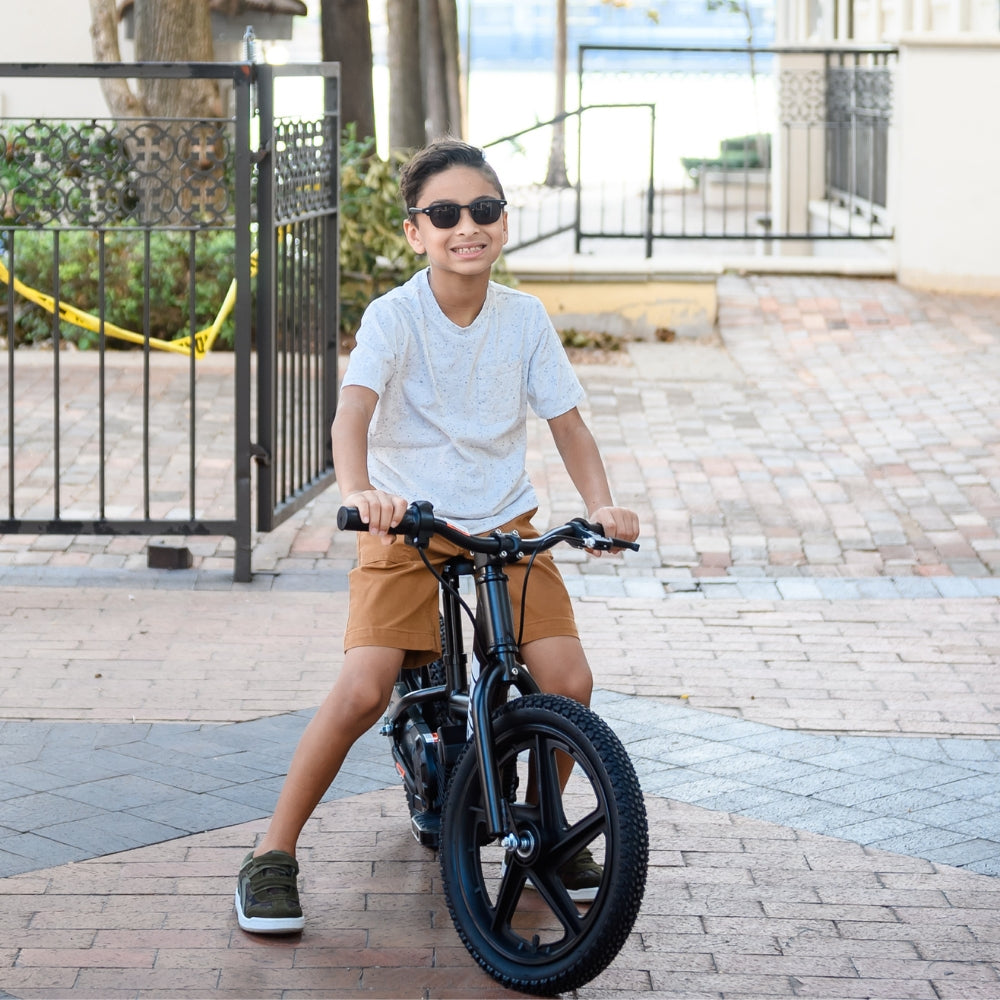 black electric bicycle 16