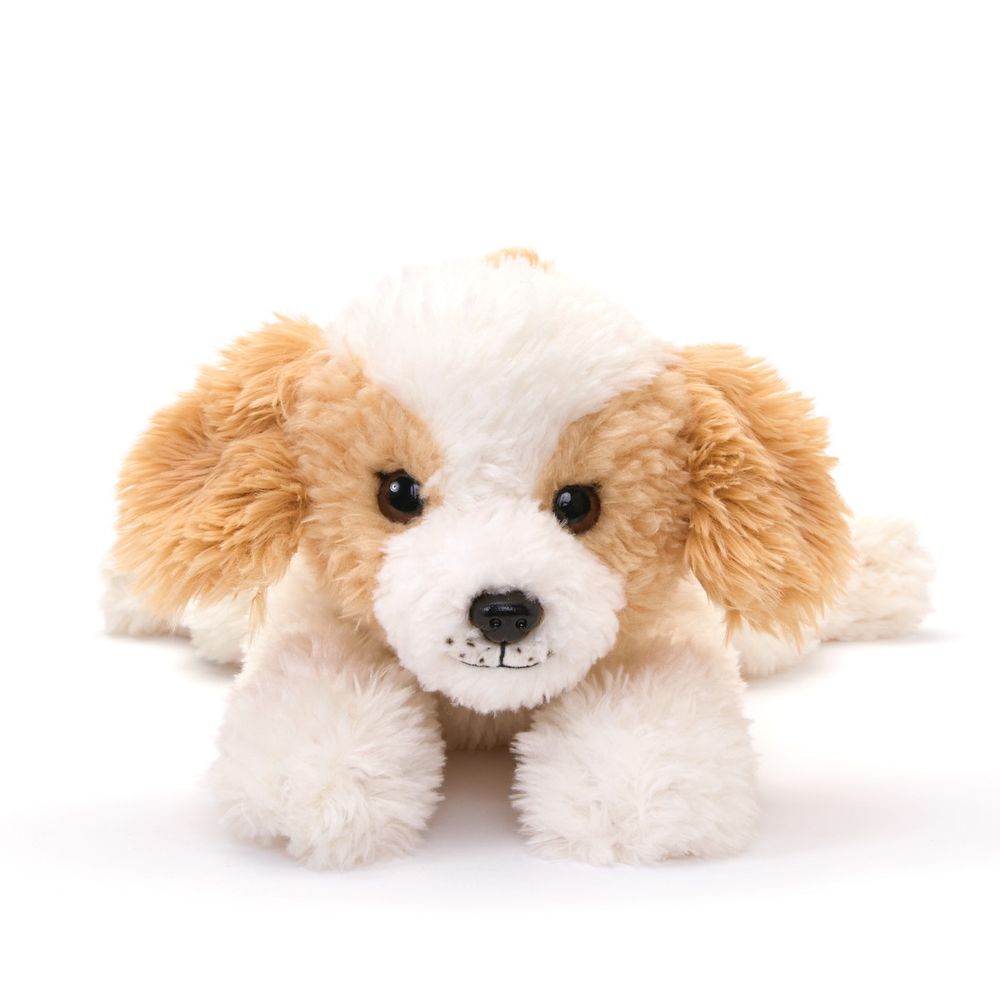  FAO Schwarz -  22” Adopt-A-Pets Cavachon Plush -  Plush