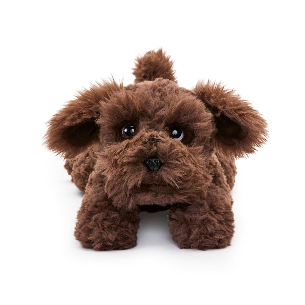  FAO Schwarz -  22” Adopt-A-Pets Plush Schnoodle -  Plush