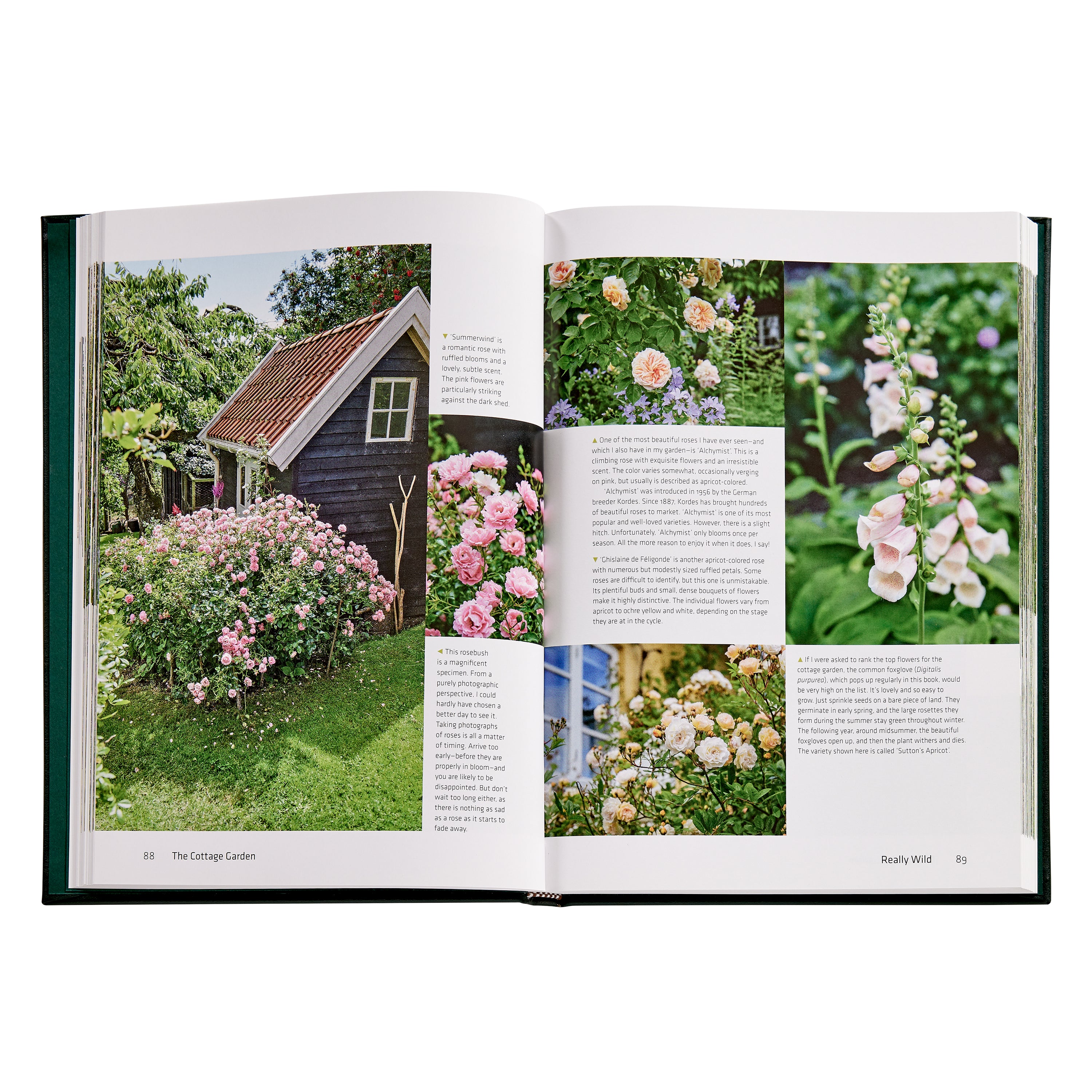 The Cottage Garden Book Leather Edition