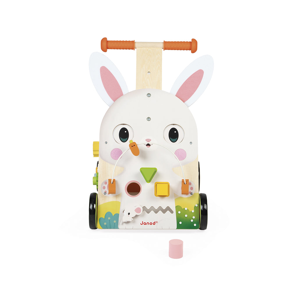  Janod -  Farm Multi-Activity Baby Walker -  Infants