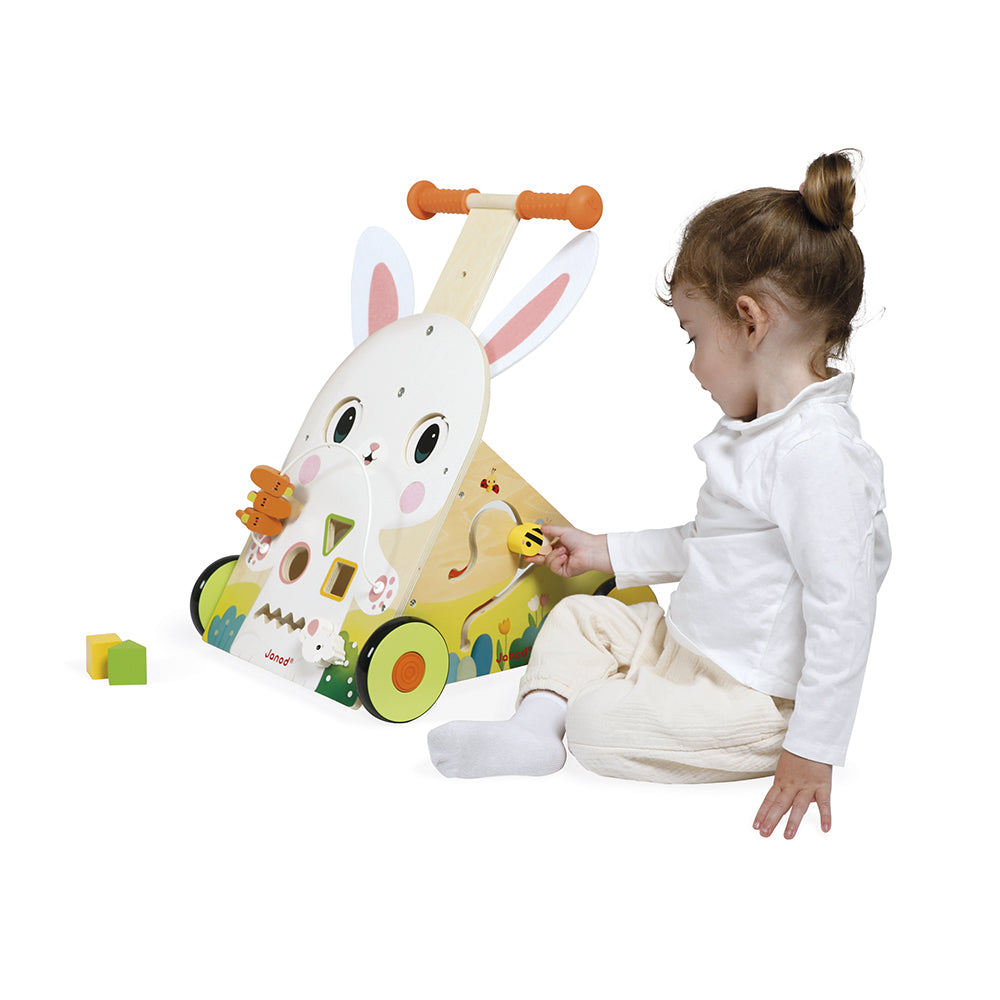  Janod -  Farm Multi-Activity Baby Walker -  Infants