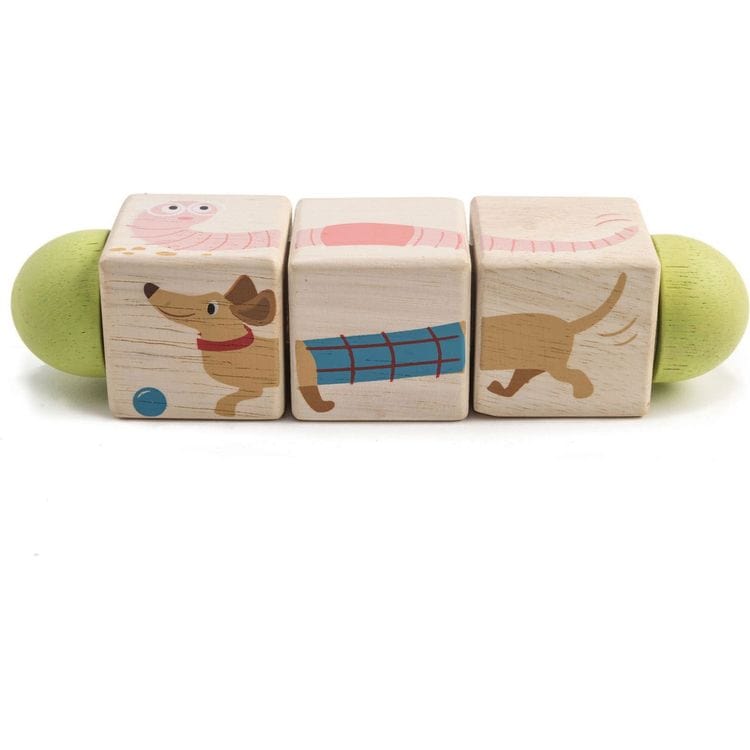  Tender Leaf Toys -  Infant Blocks Collection of Wood Toys -  Preschool