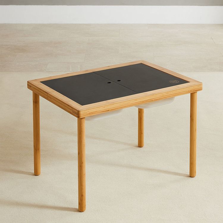 Wonder & Wise Preschool Land, Sand and Water Activity Learning Table