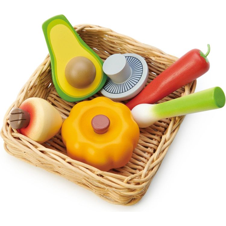  Tender Leaf Toys -  Let’s Go Shopping Collection -  Preschool