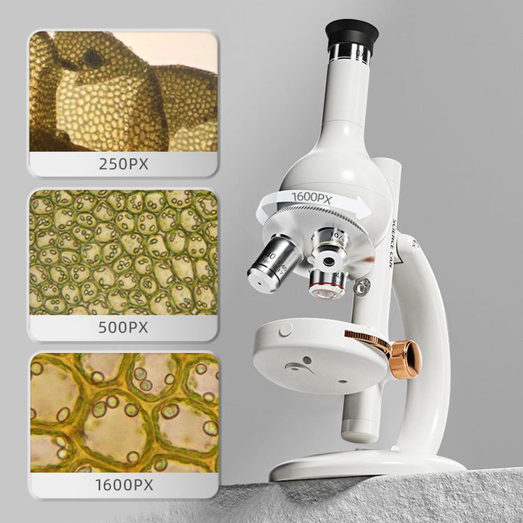  Hape -  Microscope Lab Edition -  STEM