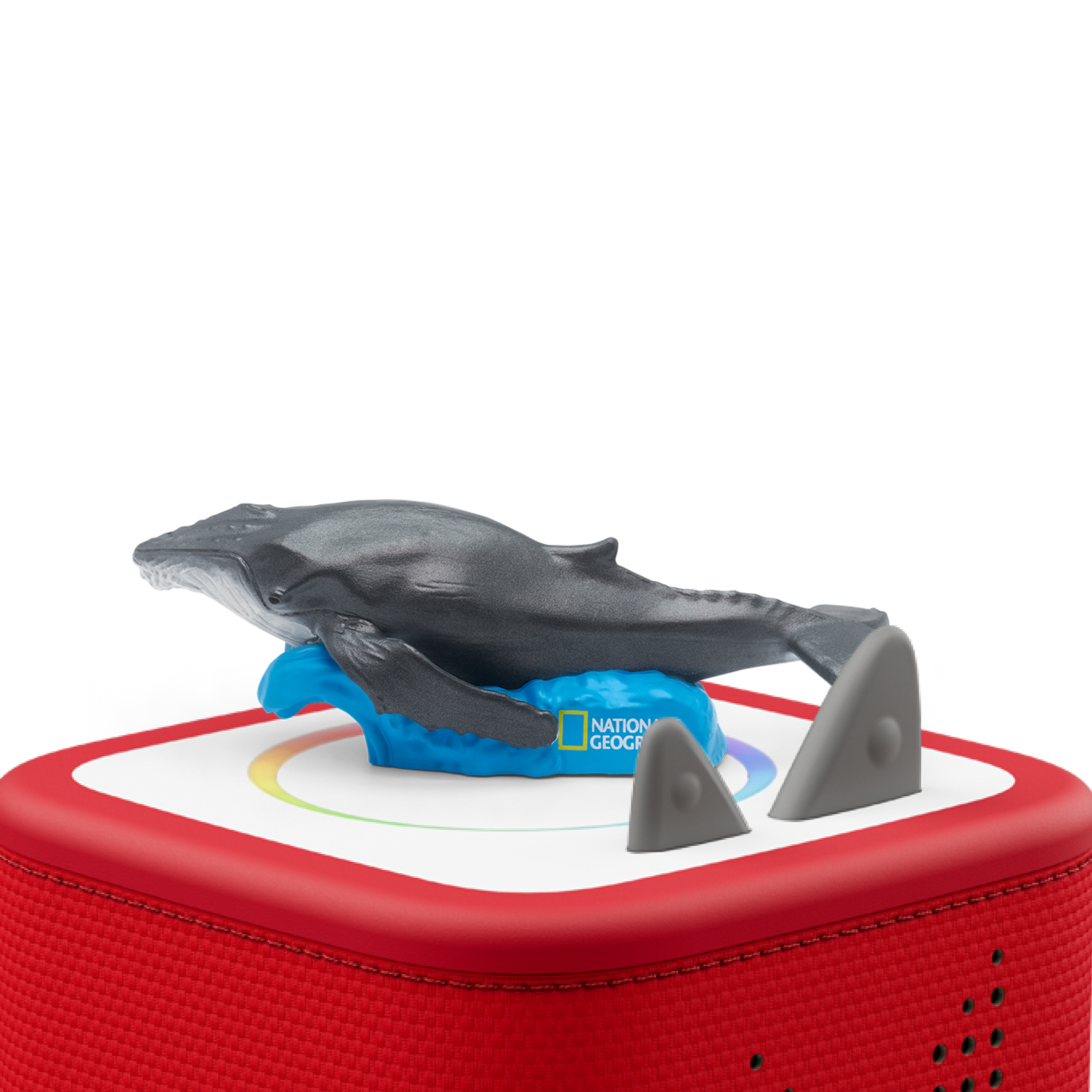 National Geographic Kids: Whale Tonie