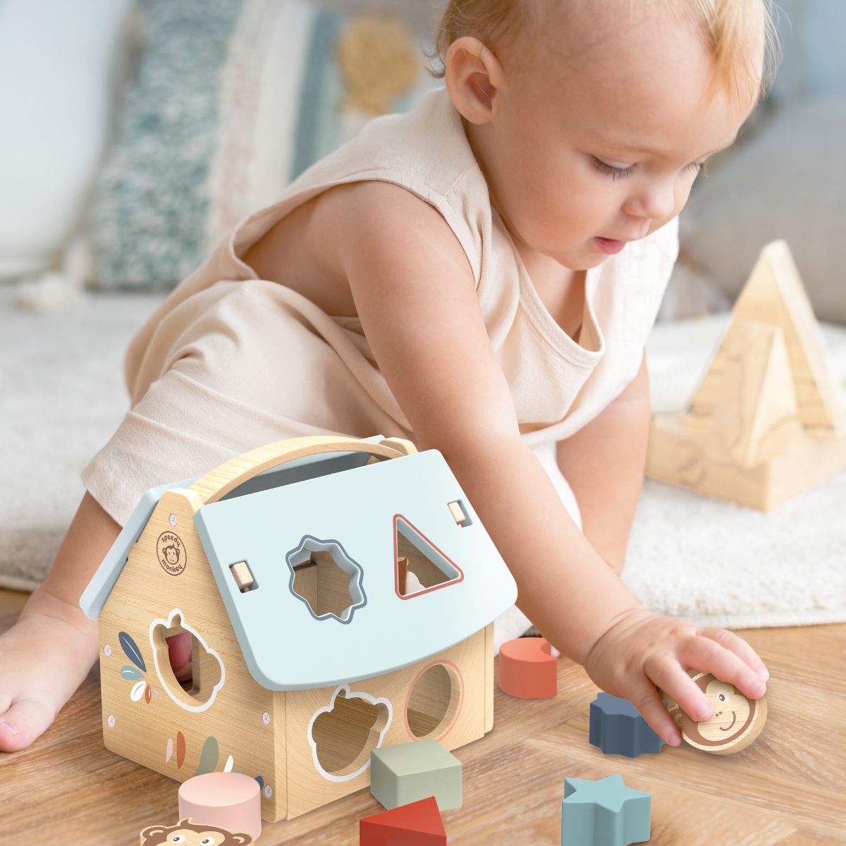 House Shape Sorter