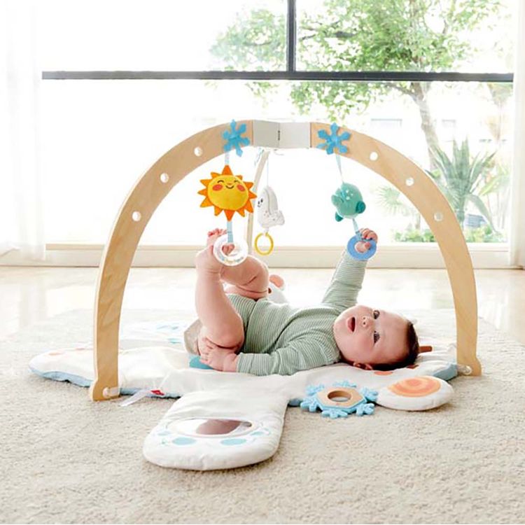 Snuggle Bear Activity Gym | Hape