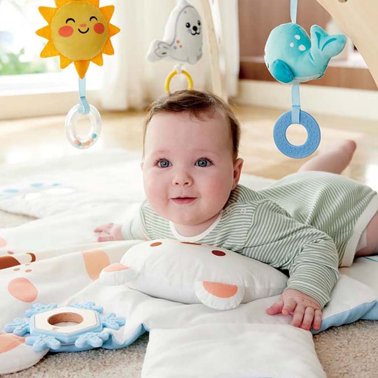  Hape -  Snuggle Bear Activity Gym -  Infants