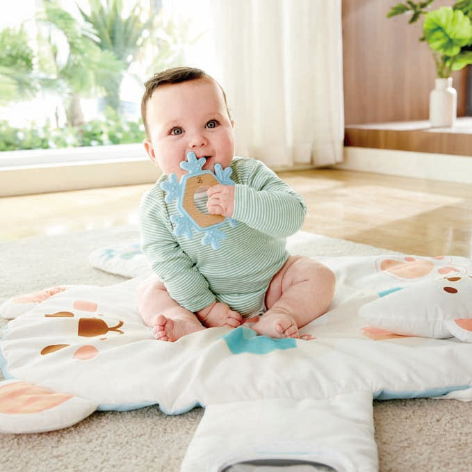 Snuggle Bear Activity Gym | Hape