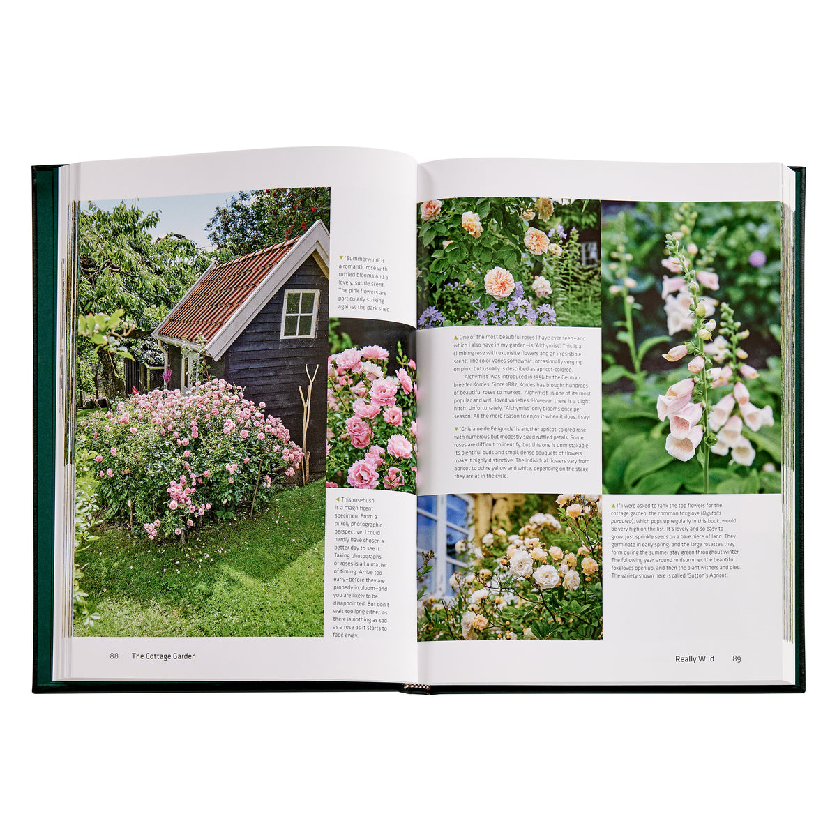 Graphic Image -  The Cottage Garden Book Leather Edition -  Books