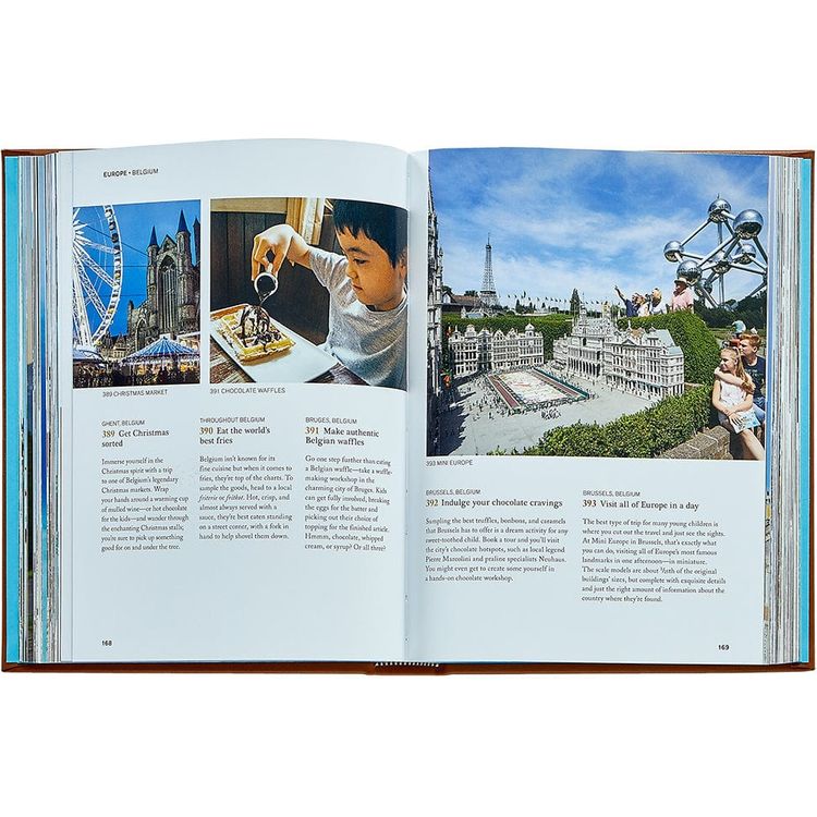  Graphic Image -  The Family Bucket List Book Leather Edition -  Books