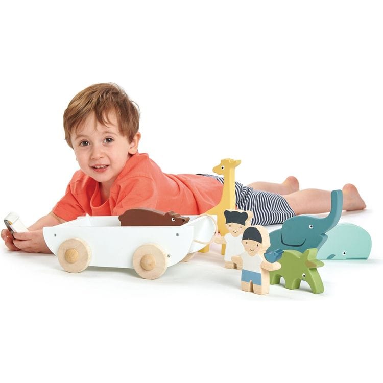  Tender Leaf Toys -  The Friend Ship Wooden Playset -  Preschool