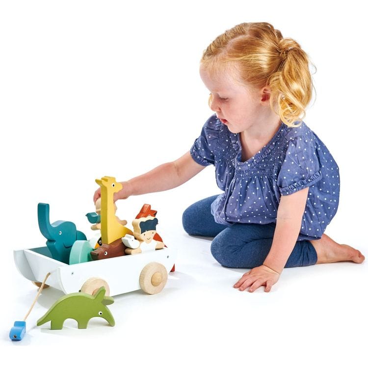  Tender Leaf Toys -  The Friend Ship Wooden Playset -  Preschool