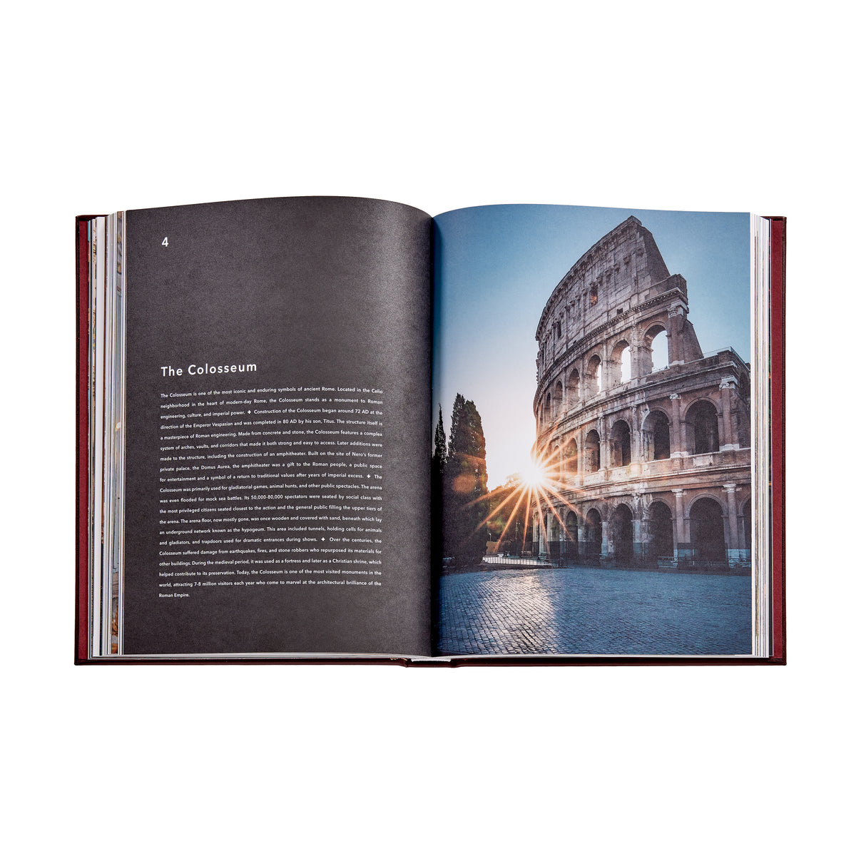 Graphic Image -  Trope Rome Book Leather Edition -  Books
