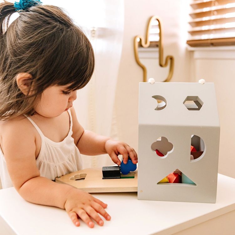  Wonder & Wise -  Wooden Shape Sorter -  Preschool