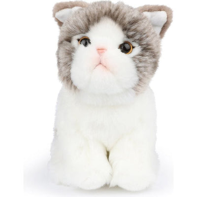 Bon Ton Toys Plush BT Chaps Amelie the Scottish Fold Cat Plush in Giftbox - 6.5"