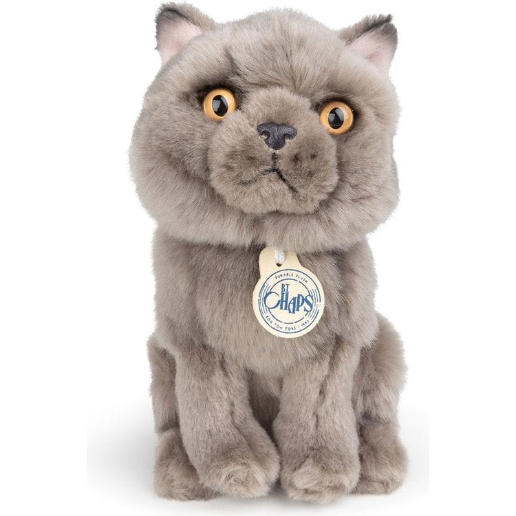 Bon Ton Toys Plush BT Chaps Freddy the British Shorthair Cat Plush in Giftbox - 6.5"