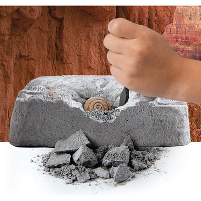 Discovery Mindblown STEM Colossal Fossil Dig Set