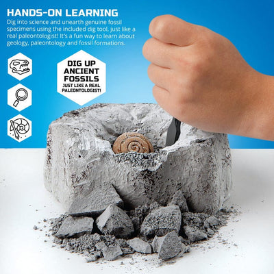 Discovery Mindblown STEM Mini Fossil Dig Set, 2 Pack Excavation Kit with Chisel