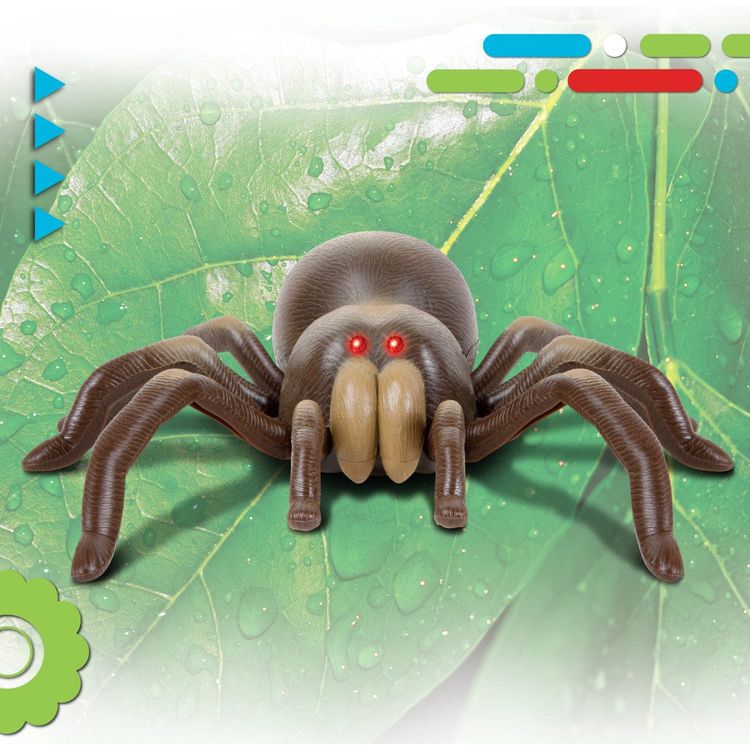 Discovery STEM Remote Control Tarantula Spider