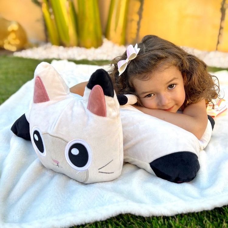 Gabby's Dollhouse Pandy Paws Pillow Pets Plush Toy