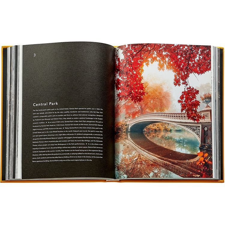 Graphic Image Books Trope New York Book Leather Edition